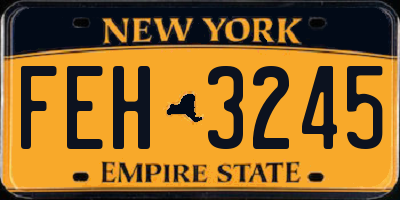 NY license plate FEH3245