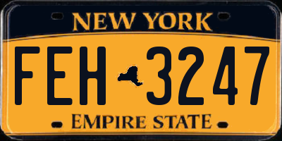 NY license plate FEH3247