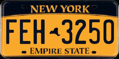 NY license plate FEH3250