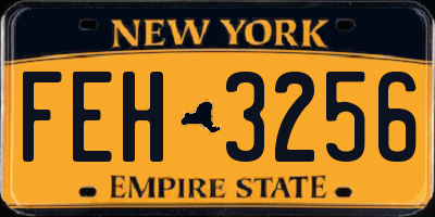 NY license plate FEH3256
