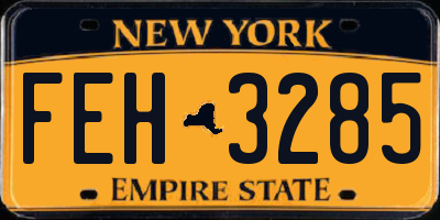 NY license plate FEH3285