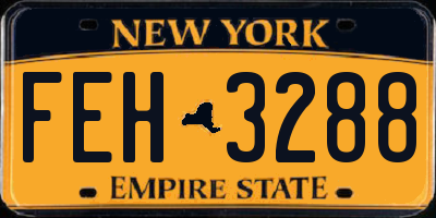 NY license plate FEH3288
