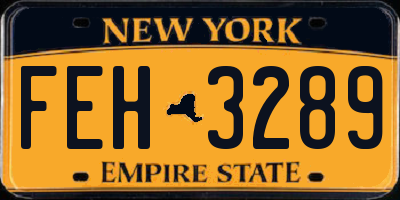 NY license plate FEH3289