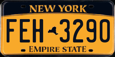 NY license plate FEH3290