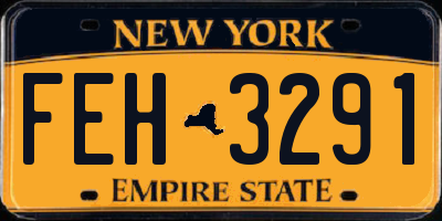 NY license plate FEH3291