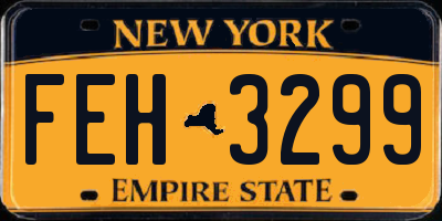 NY license plate FEH3299