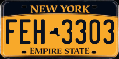NY license plate FEH3303