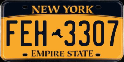 NY license plate FEH3307