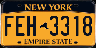 NY license plate FEH3318