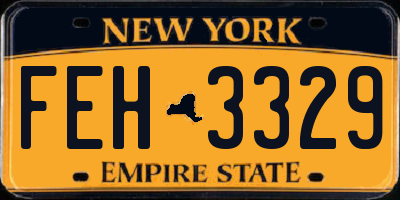 NY license plate FEH3329