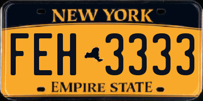 NY license plate FEH3333