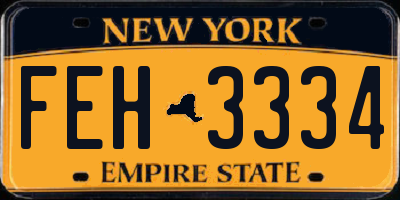 NY license plate FEH3334