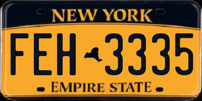 NY license plate FEH3335