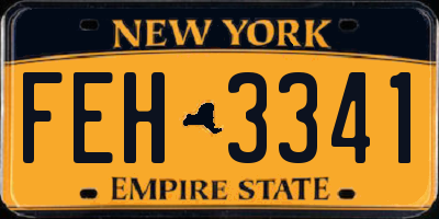 NY license plate FEH3341