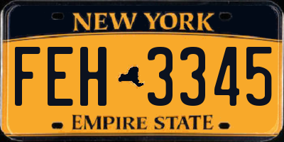 NY license plate FEH3345