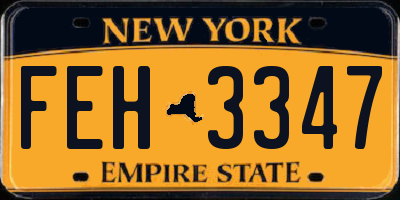 NY license plate FEH3347