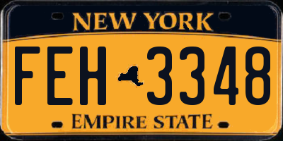 NY license plate FEH3348