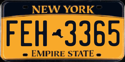 NY license plate FEH3365
