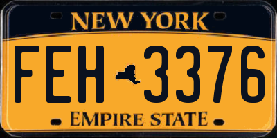 NY license plate FEH3376