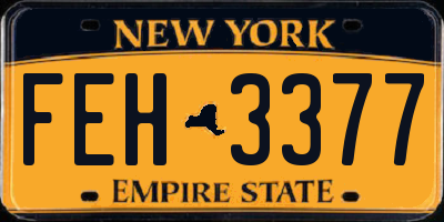 NY license plate FEH3377