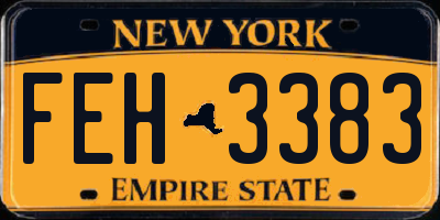 NY license plate FEH3383