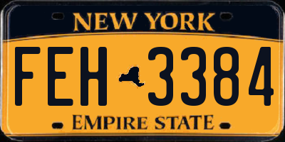 NY license plate FEH3384