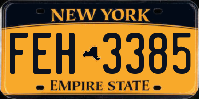 NY license plate FEH3385