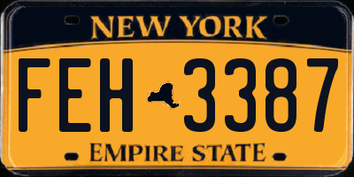 NY license plate FEH3387