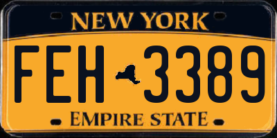 NY license plate FEH3389