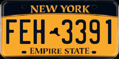 NY license plate FEH3391