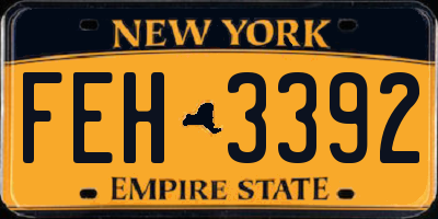 NY license plate FEH3392