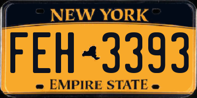 NY license plate FEH3393