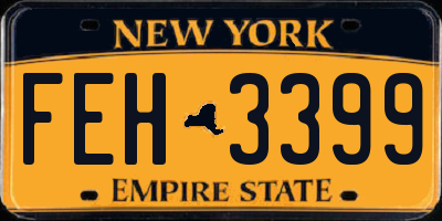 NY license plate FEH3399