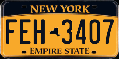 NY license plate FEH3407
