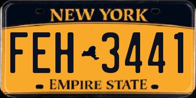 NY license plate FEH3441