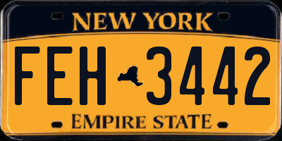 NY license plate FEH3442