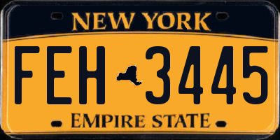 NY license plate FEH3445