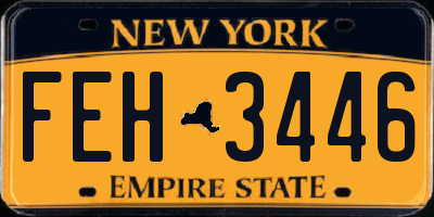 NY license plate FEH3446