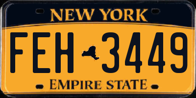 NY license plate FEH3449