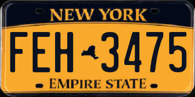 NY license plate FEH3475