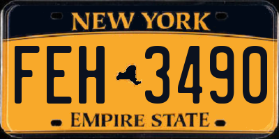 NY license plate FEH3490