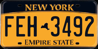 NY license plate FEH3492