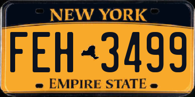 NY license plate FEH3499