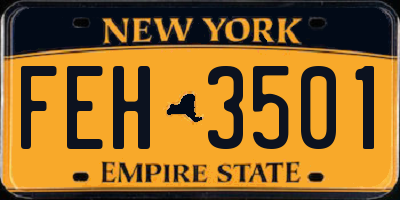NY license plate FEH3501