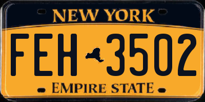 NY license plate FEH3502
