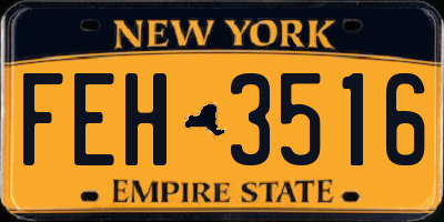 NY license plate FEH3516