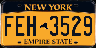 NY license plate FEH3529