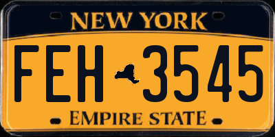NY license plate FEH3545