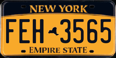 NY license plate FEH3565