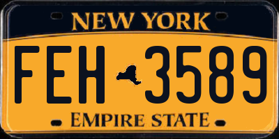NY license plate FEH3589